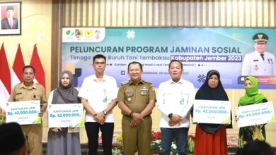 Bupati Jember Beri Jaminan Sosial 20.000 Buruh Tani Tembakau