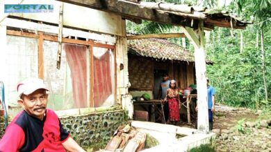 Mbah Supardan, Kisah Hidup Warga Gelang Jember Ini Menyayat Hati, Rumahnya Jebol, Tinggal di Dapur yang Sempit