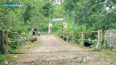 Putus, Jembatan di Desa Gelang Kabupaten Ini Jember Masih Dilewati Anak-anak Sekolah