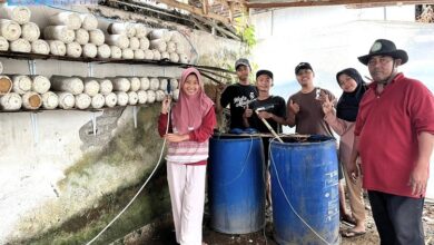 Mahasiswa PKL Universitas Islam Jember Belajar membuat Pupuk NPK Plus