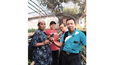 Gertasi Pusat Merintis Kerja Sama Penjualan Cabe Jamu dengan PPCJI Jember